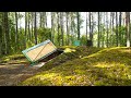 My Survival Story In A Dugout I Hiding From BROWN BEARS And Discovering OWLS