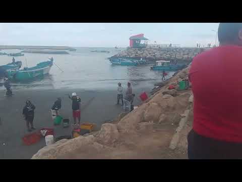 En el puerto de la libertad provincia de Santa Elena ✨♥️hermosas playas 