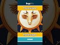 horoscope - horóscopo video thumbnail