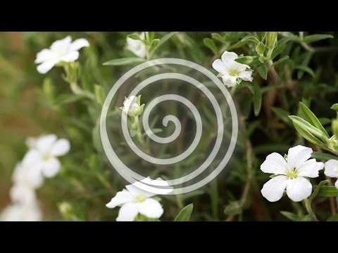 download lagu mp3 mp4 Zen Pilates, download mp3 Zen Pilates free download, download mp3 Zen Pilates