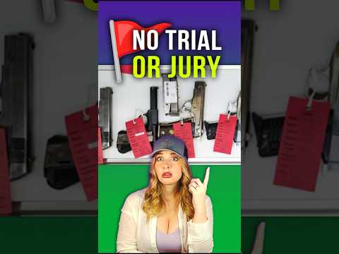 Red Flag laws: Protecting or depriving the people of their Constitutional Rights?!? #shortsvideo Thumbnail