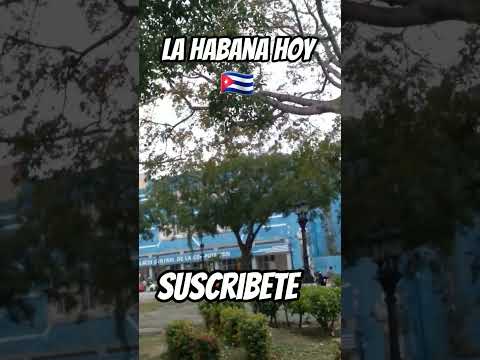 Así esta Cuba Hoy /La Habana #turismo #cuba #travel #cubanos #shortsfeed #shortsvideo #lahabana