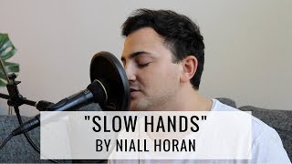 Slow Hands - Niall Horan | Cover by David Adam Corcos
