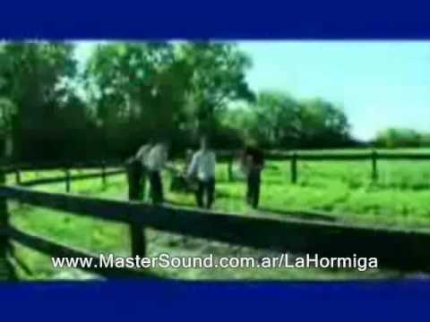 No Todos Los Burros video