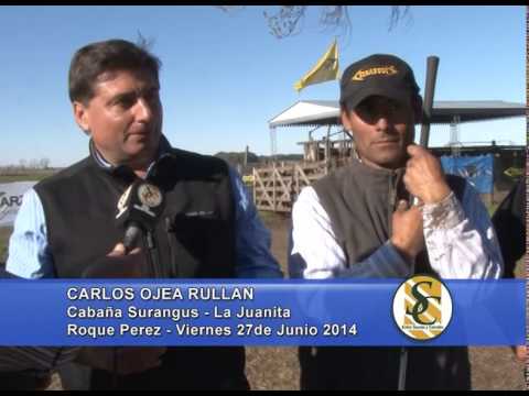 Cabaña Surangus - Arzoz Haciendas S.A. - Carlos Ojea Rullan - 27/06/2014