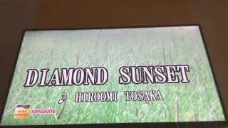 HIROOMI TOSAKA      「DIAMOND SUNSET」
