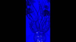 Elegant LED Fancy Lamp O6 - Souq.com