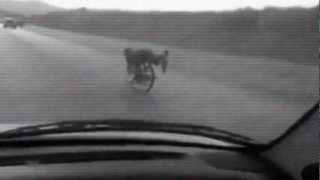 JONATHAN BOULET YOU'RE A ANIMAL