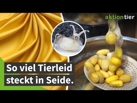 Seide: So viel Tierleid steckt drin (und Alternativen!)