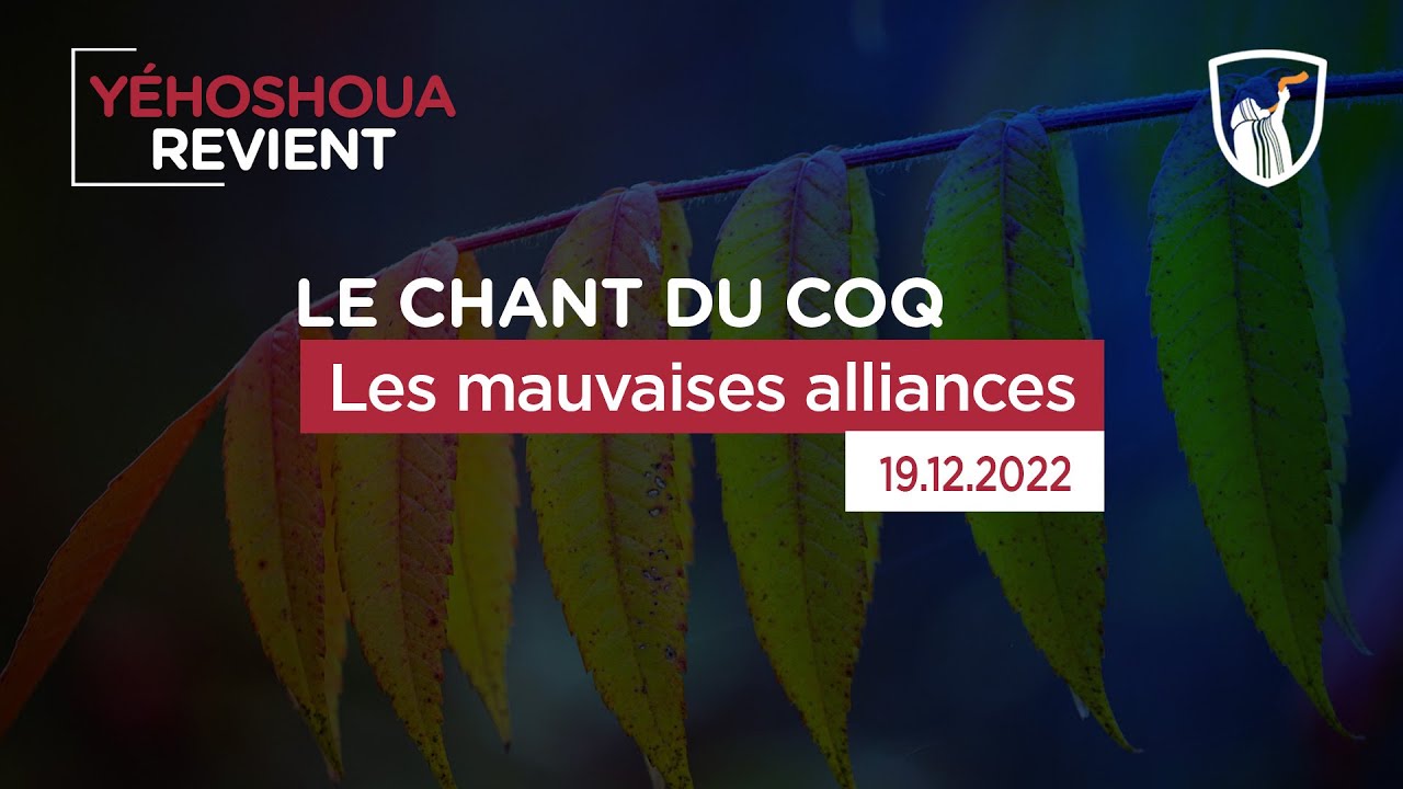 Thumbnail of video: Les mauvaises alliances