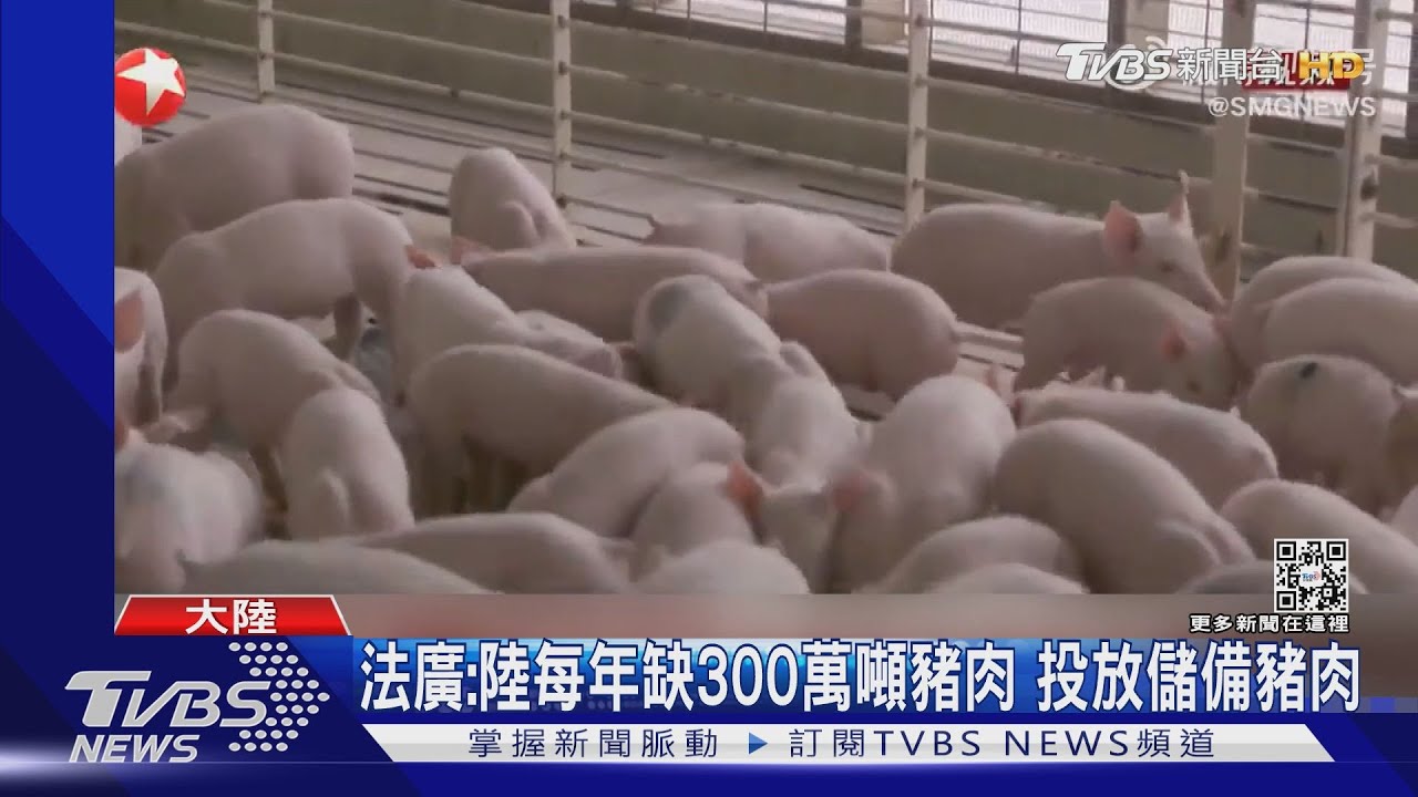 蓋26層高樓給「豬」住!法媒:陸豬肉需求漲價壓力大