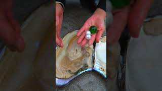 Download lagu π₯π₯ Take out the oversized green beads from the pearl clam! mp3 Download lagu π₯π₯ Take out the oversized green beads from the pearl clam! mp3