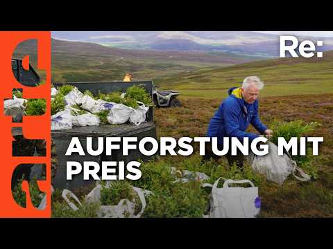 Neue Bäume und tote Hirsche | ARTE Re: