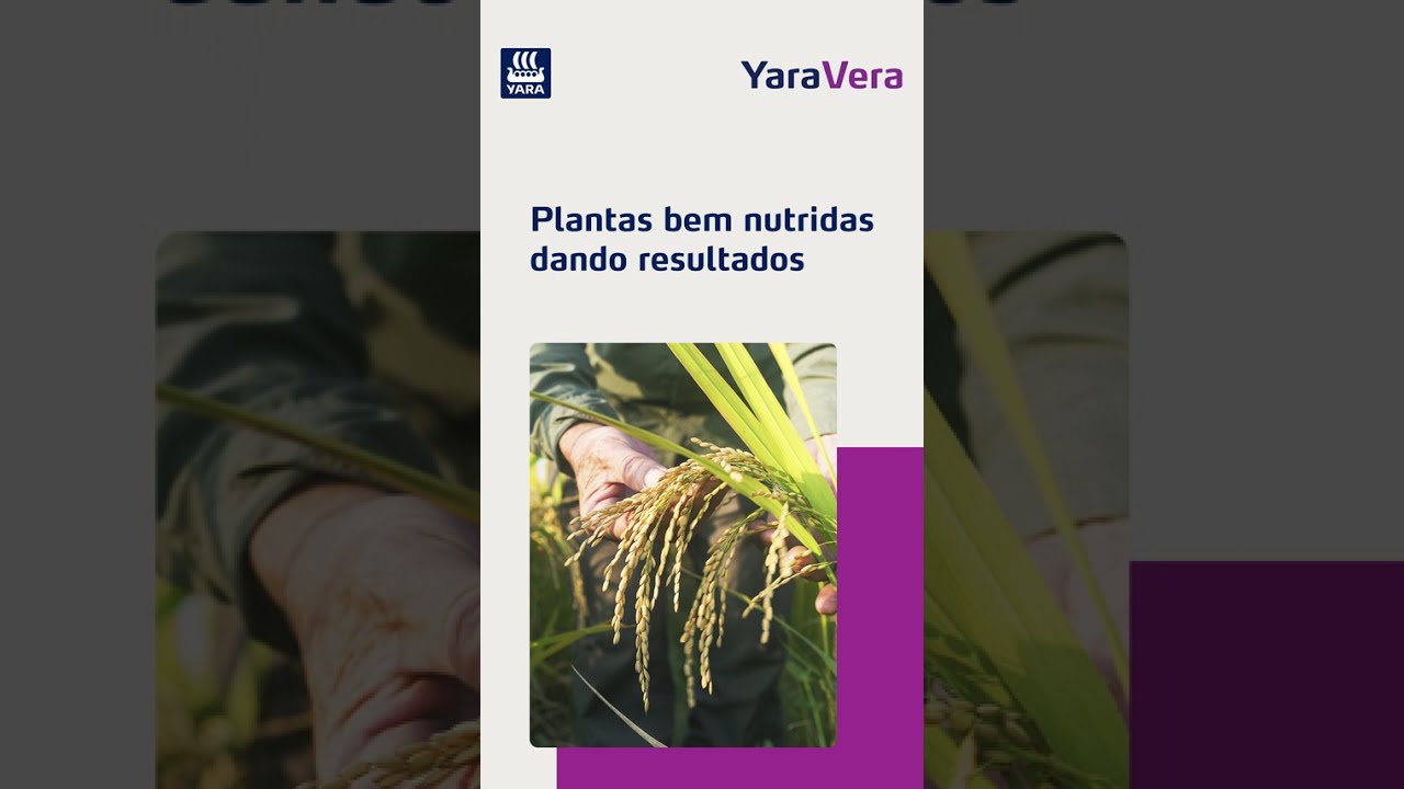 Eleve a produtividade da sua lavoura | YaraVera
