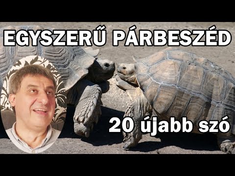 Angol teljesen kezdőknek  | 2. rész