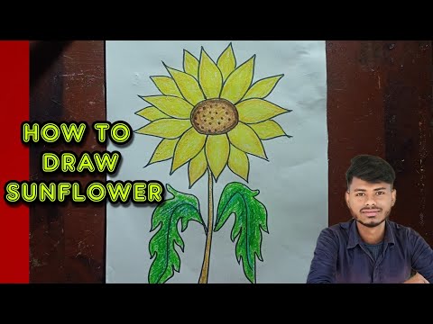 Descargar Sunflower Drawing Easy How To Draw Sunflower Shorts
