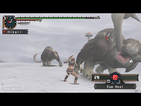 Monster Hunter Freedom 2 [PSP] - Gameplay