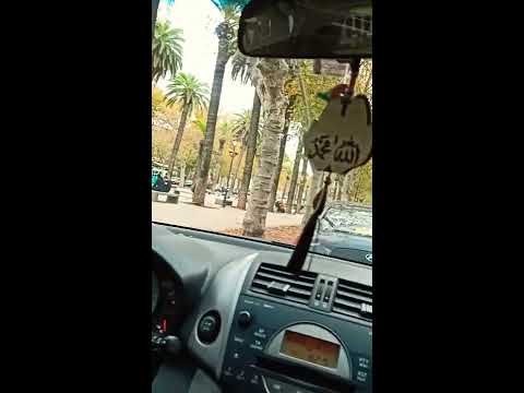 Chaba dalila FT Lbenj #DJHAMIDA🤤 Statut Whatsapp🔥❤️ #Féscentreville  🇩🇿🇲🇦😍