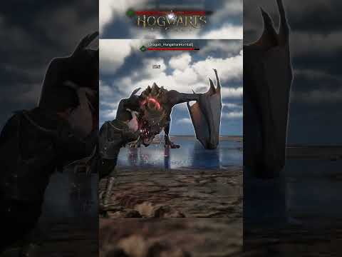 AVADA KEDAVRA on a Dragon in Hogwarts Legacy 🐲 #hogwarts #hogwartslegacy #dragon