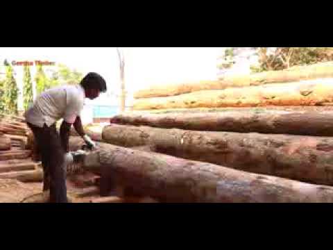 Wooden logs business ideas
