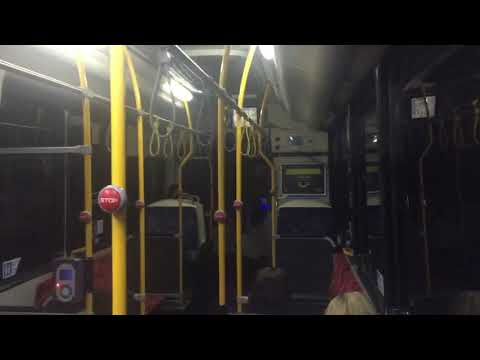 Sydney Buses - 2419 ST Scania K280UB CB80 (ZF Ecomat)