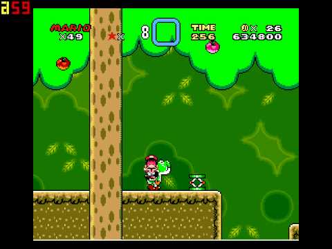 Mario Bug #4 Forest Of Ilusion - Level 1