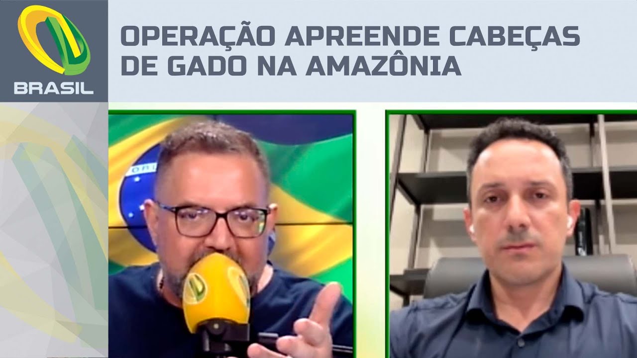 Operação contra desmatamento apreende cabeças de gado na Amazônia
