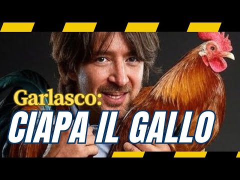 GARLASCO: CIAPA IL GALLO!