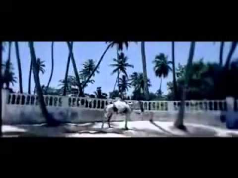 Baby Ranks ft Notch   Verme Pty Remix