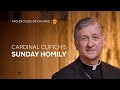 Cardinal Blase Cupich's Homily for June 2nd, 2024