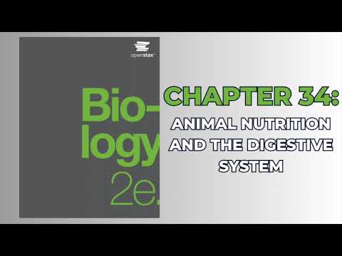 OpenStax Biology 2e (Audiobook) - Chapter 34: Animal Nutrition and the Digestive System