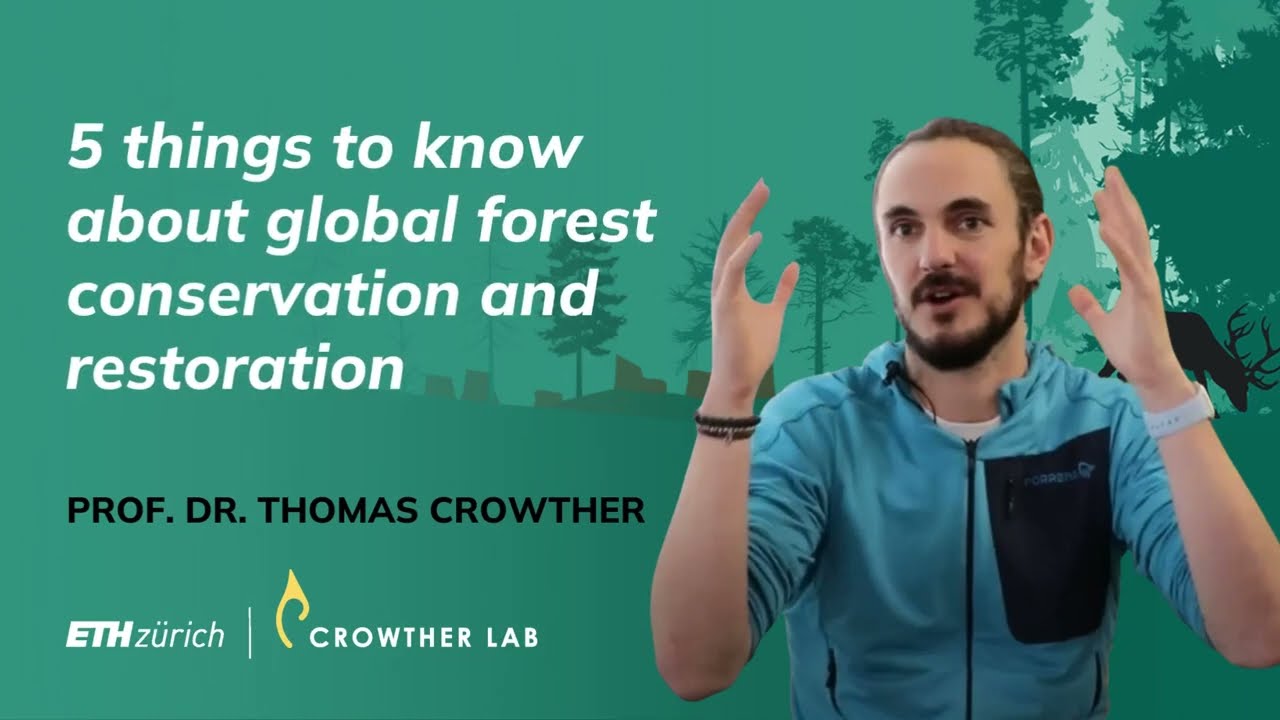 5 Things to Know About Global Forest Conservation & Restoration