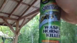 Wasp kill fail!  Face your fears