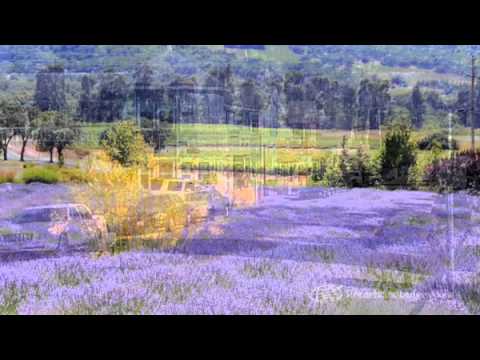 BestWesternFiresideInn.mov