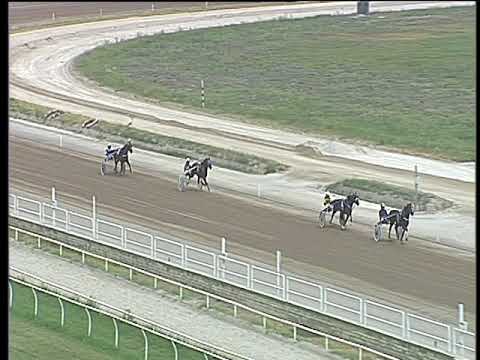 Trotto 01/09/2017 - 2ª prova di qualifica