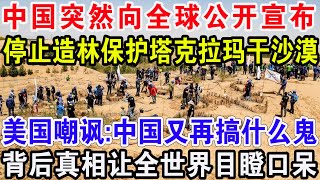 中国突然向全球公开宣布，停止造林保护塔克拉玛干沙漠，美国嘲讽:中国又再搞什么鬼，背后真相让全世界目瞪口呆！