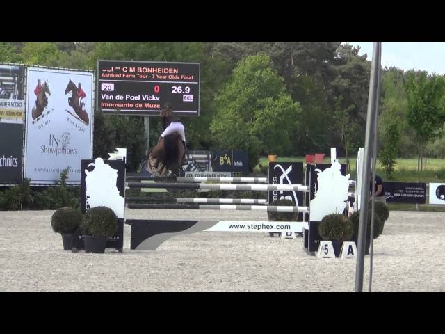 Mother of this Implanted Embryo is the CSI 1.40m jumping mare Imposante de Muze.