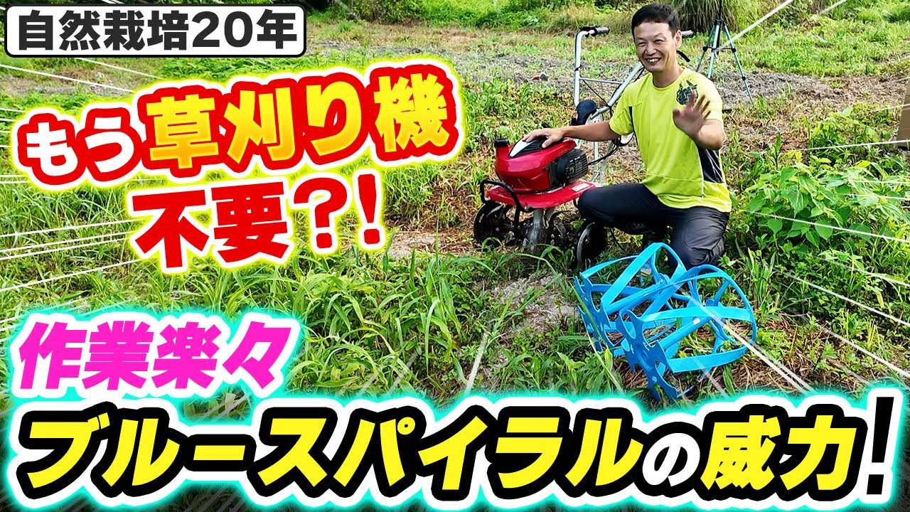 【自然栽培】小型耕運機のアタッチメント「ブルースパイラル」の除草能力と活用法