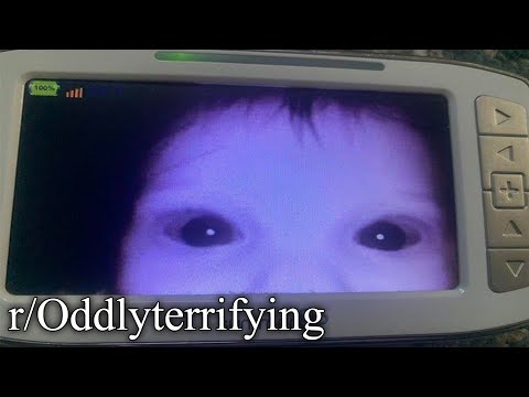 r/Oddlyterrifying | LEAVE ME ALONE