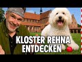 Tauche Ein In Die Geschichte Der Klosterstadt Rehna Entdecke Die Beeindruckende Kloster Architektur
