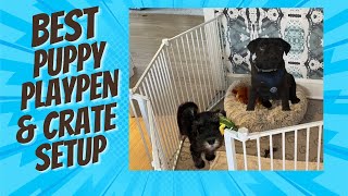The BEST Puppy Playpen & Crate Setup for New Puppies
