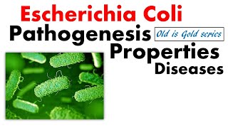 Download lagu E coli bacteria microbiology | pathogenesis, Symptoms and disease mp3 Download lagu E coli bacteria microbiology | pathogenesis, Symptoms and disease mp3