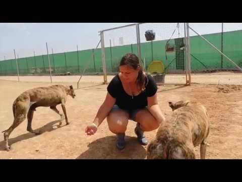 Troy making progress