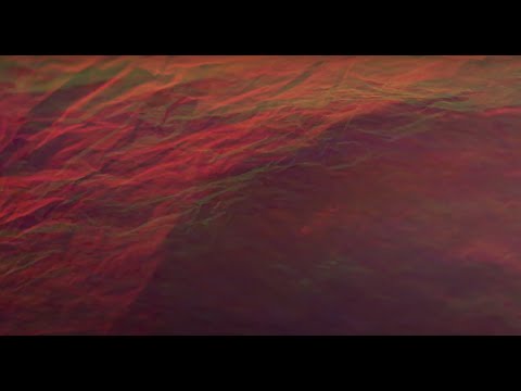 Dave Thomas Junior - Always You