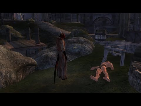 It's rough out here in Bravil