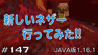【ちのんのマイクラ実況】#147 新しいネザー行ってみた!!(JAVA版1.16.1)