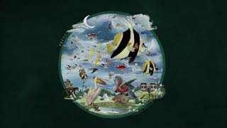 Plini – "I'll Tell You Someday" (2020)