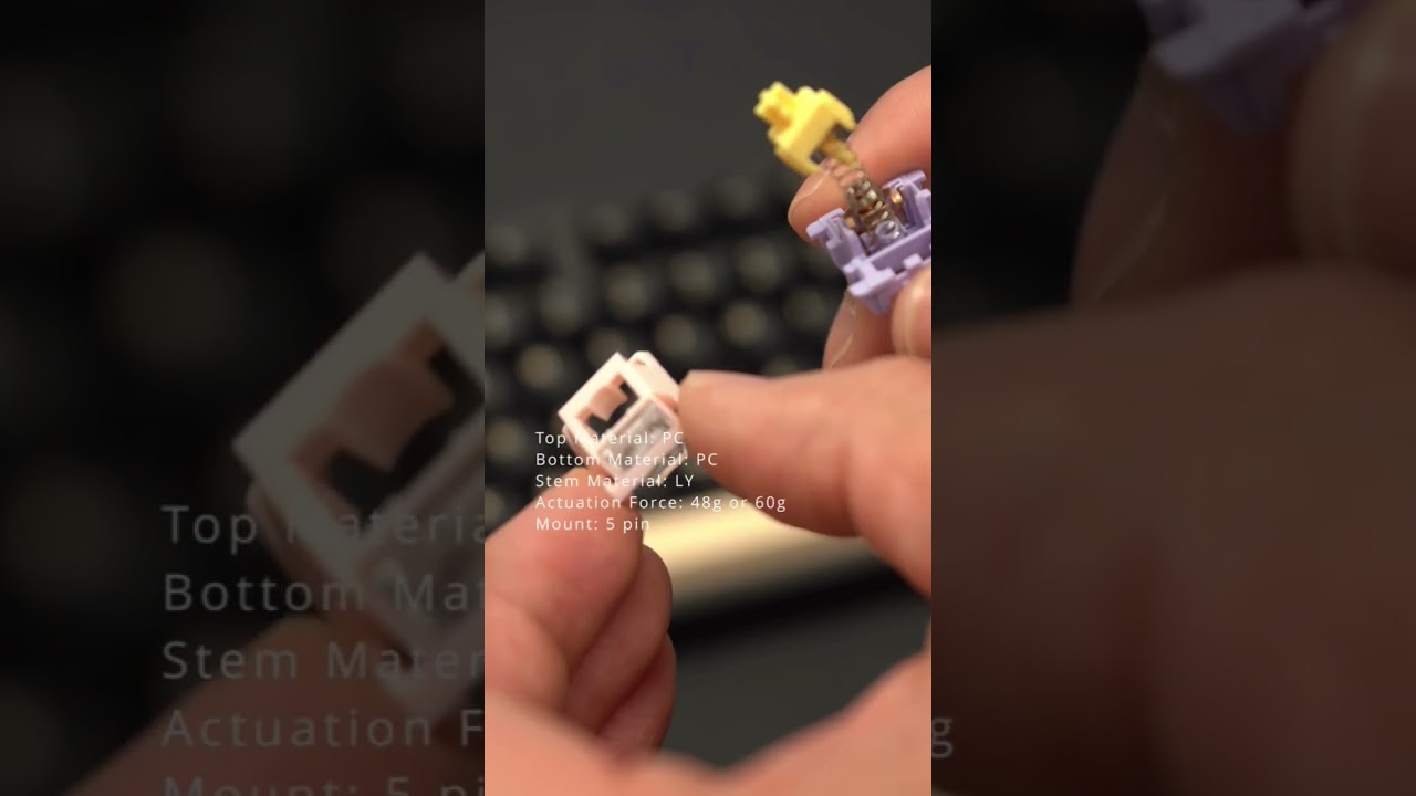 Poppy sound switches - MMD Princess v4 tactile #mechanicalkeyboard