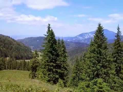 Poiana Cerbului - Gura Diham - Cabana Diham