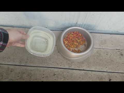 Its a little nippy out